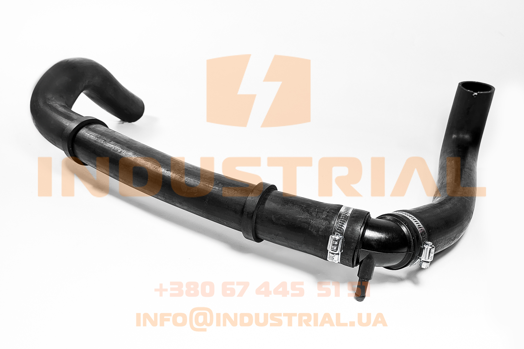 LEM 1523646 LEMA